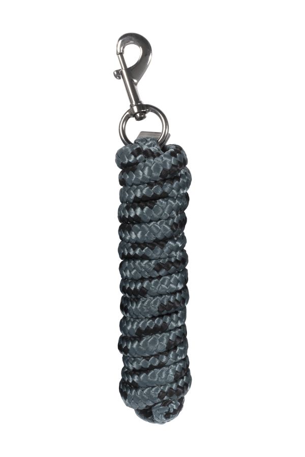 Cavallo longe Cavaljone Silver pine