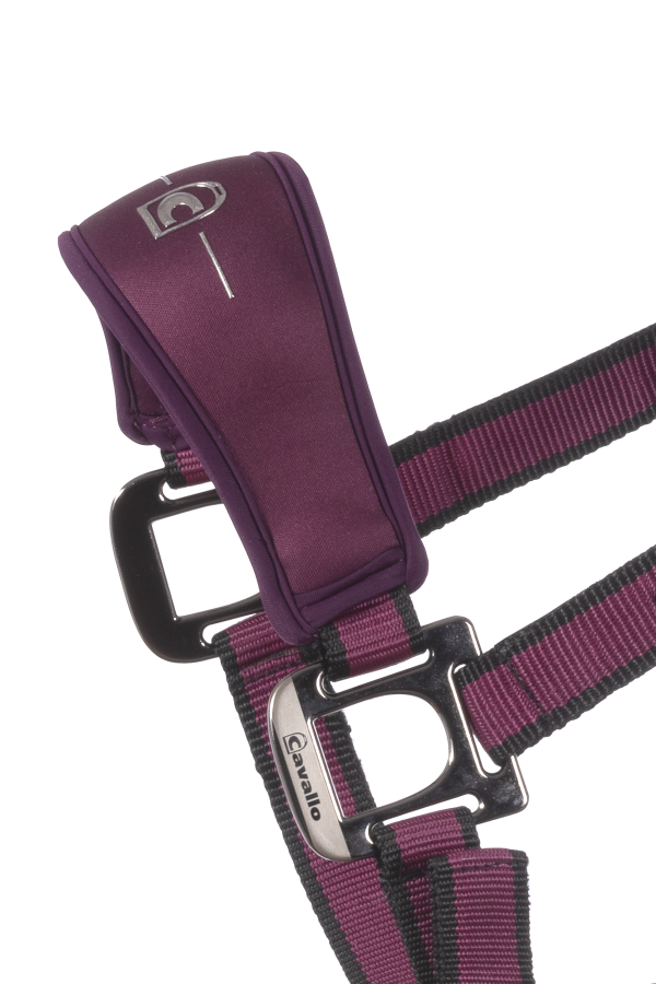 Licol CavalSoftshell, dusty violet- Cavallo