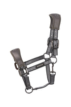 Licol CavalSoftshell - Cavallo Spring / Summer 25