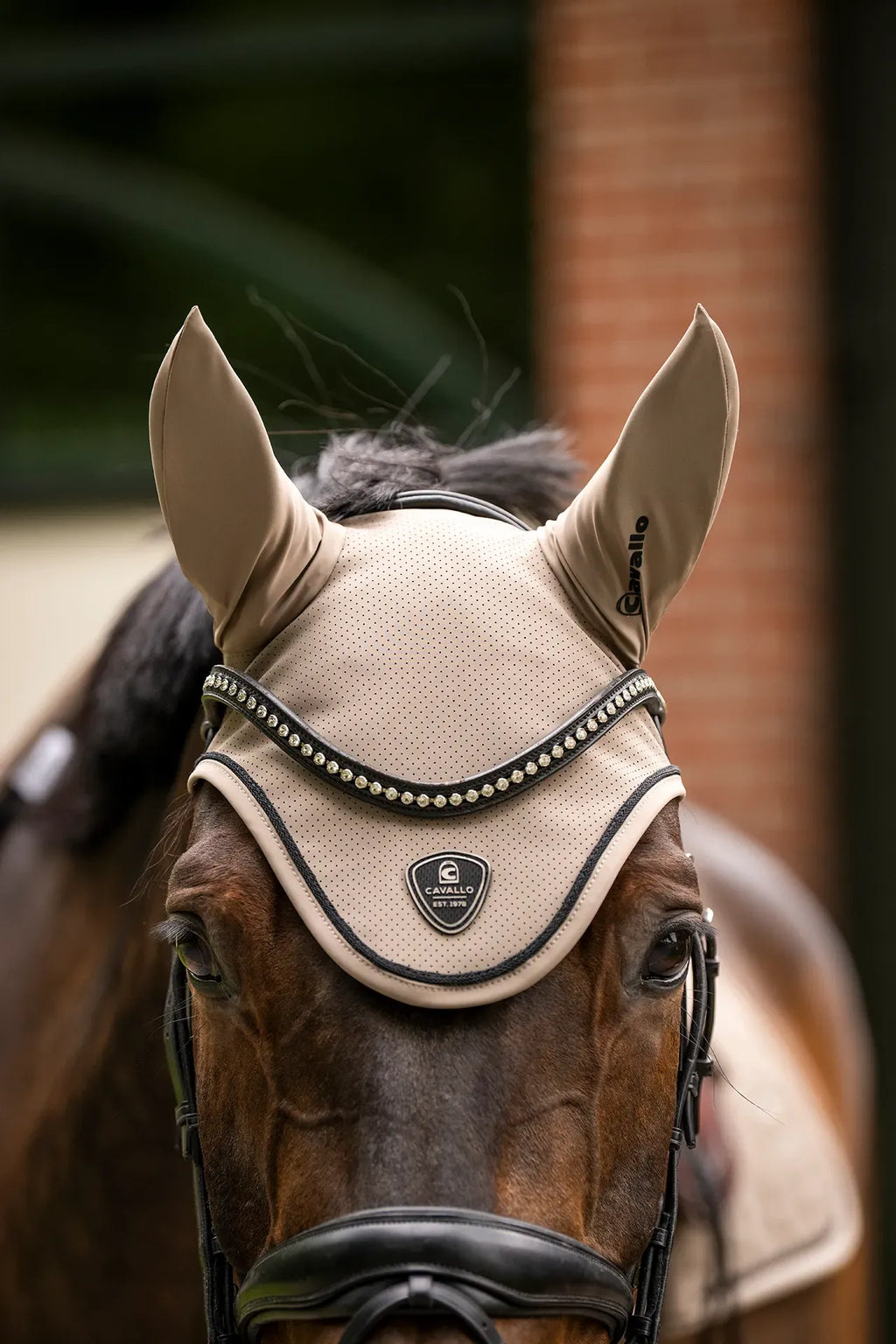 Bonnet Cavaljackie - Cavallo SS26