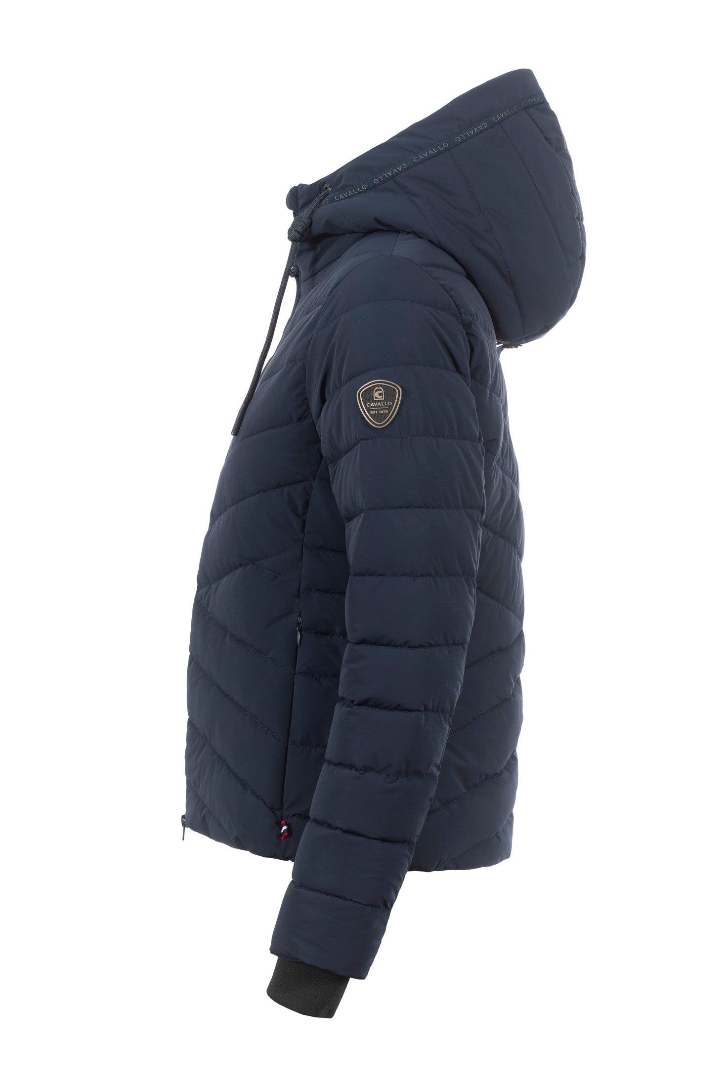 Doudoune Cavalraven - Cavallo AW 25