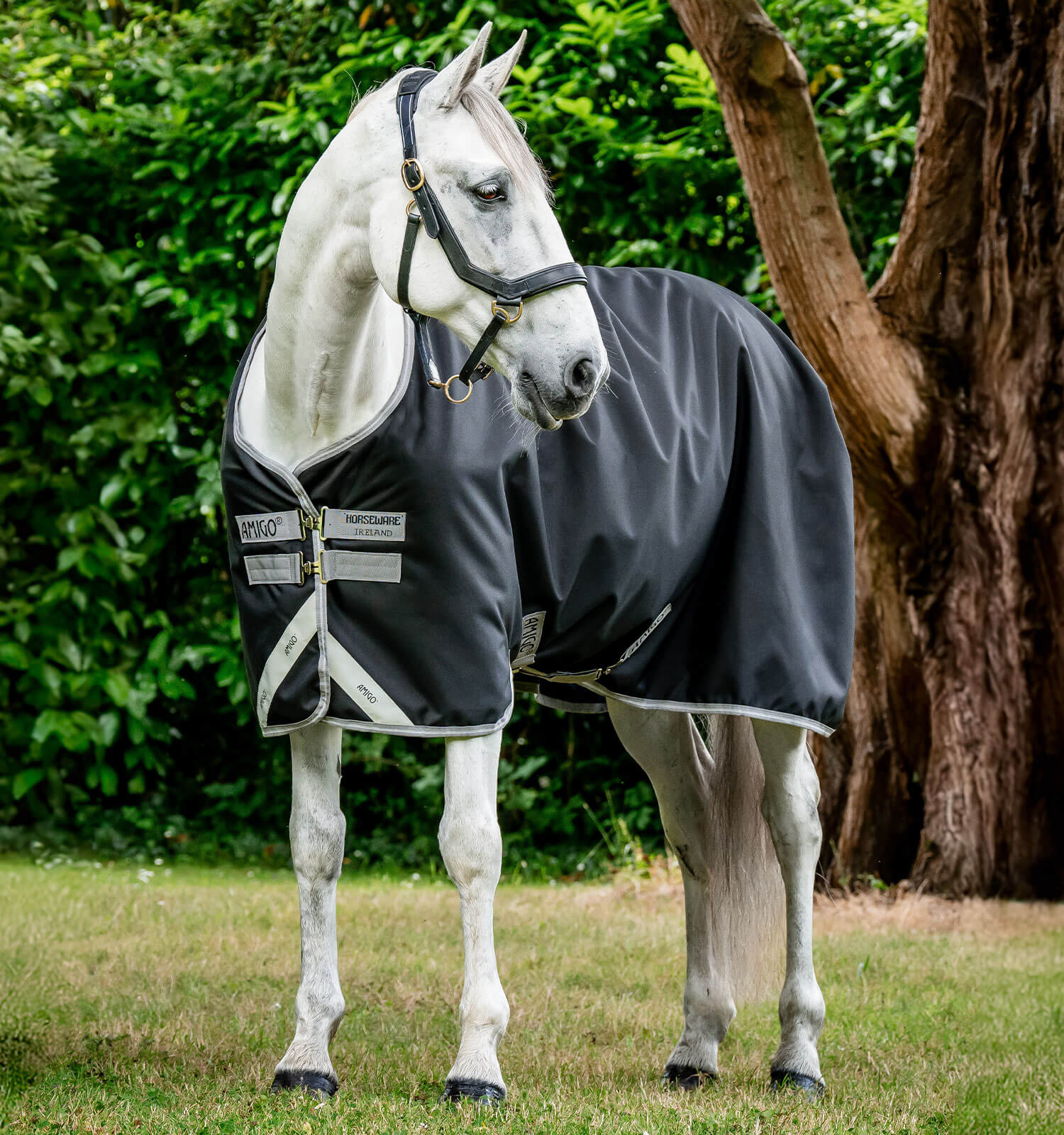 Couverture imperméable Amigo 1200D Turnout 50g - Horseware