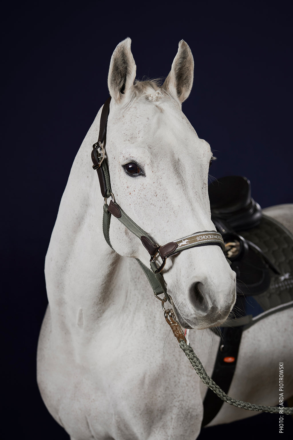 Licol Acron Style, Jungle - Schockemöhle