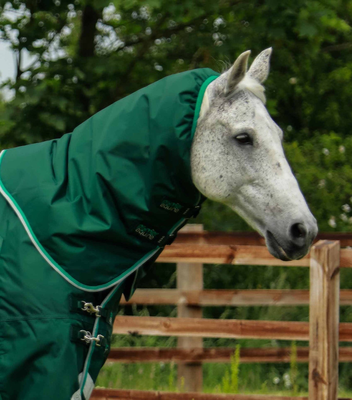 Couverture imperméable, Buster 200gr cou-amovible - Premier Equine