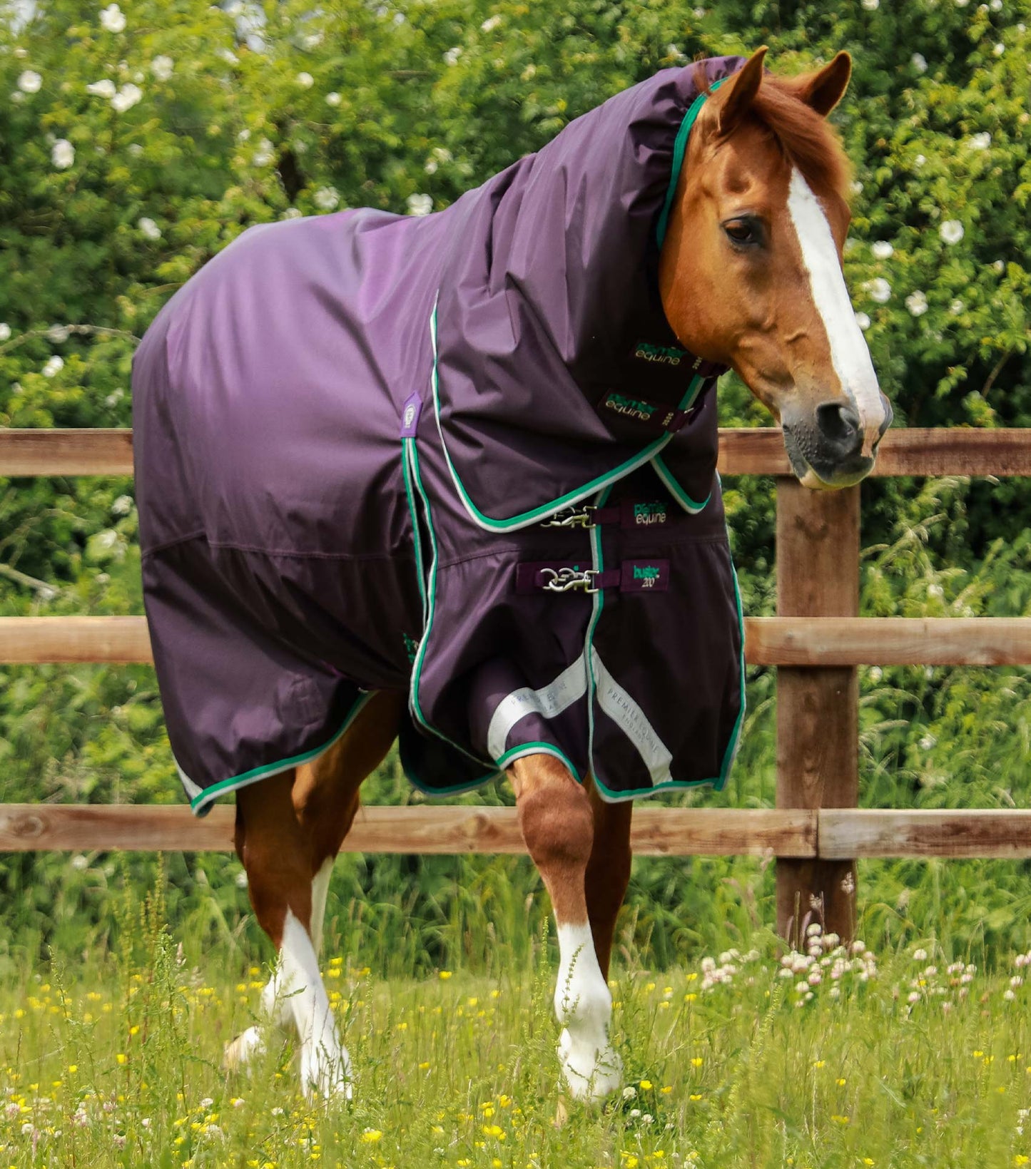 Couverture imperméable, Buster 200gr cou-amovible - Premier Equine