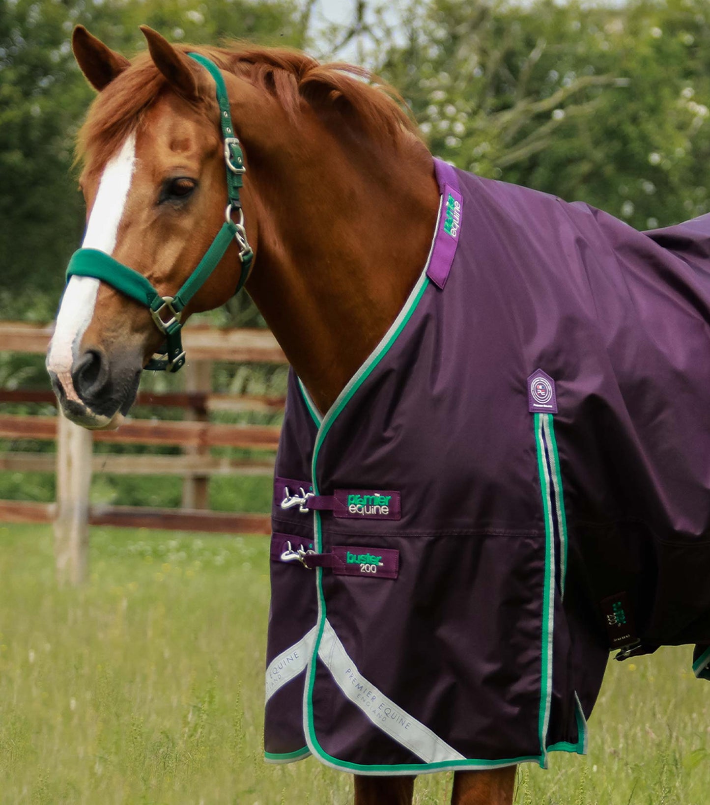 Couverture imperméable, Buster 200gr cou-amovible - Premier Equine