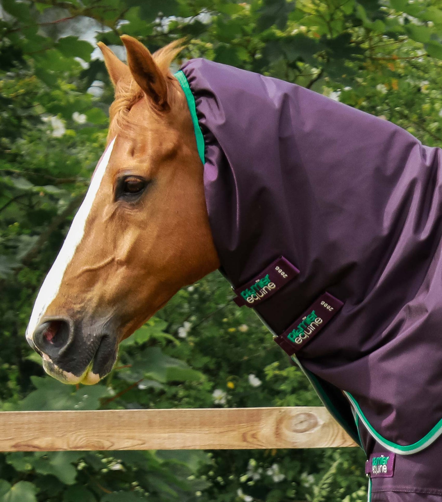 Couverture imperméable, Buster 200gr cou-amovible - Premier Equine