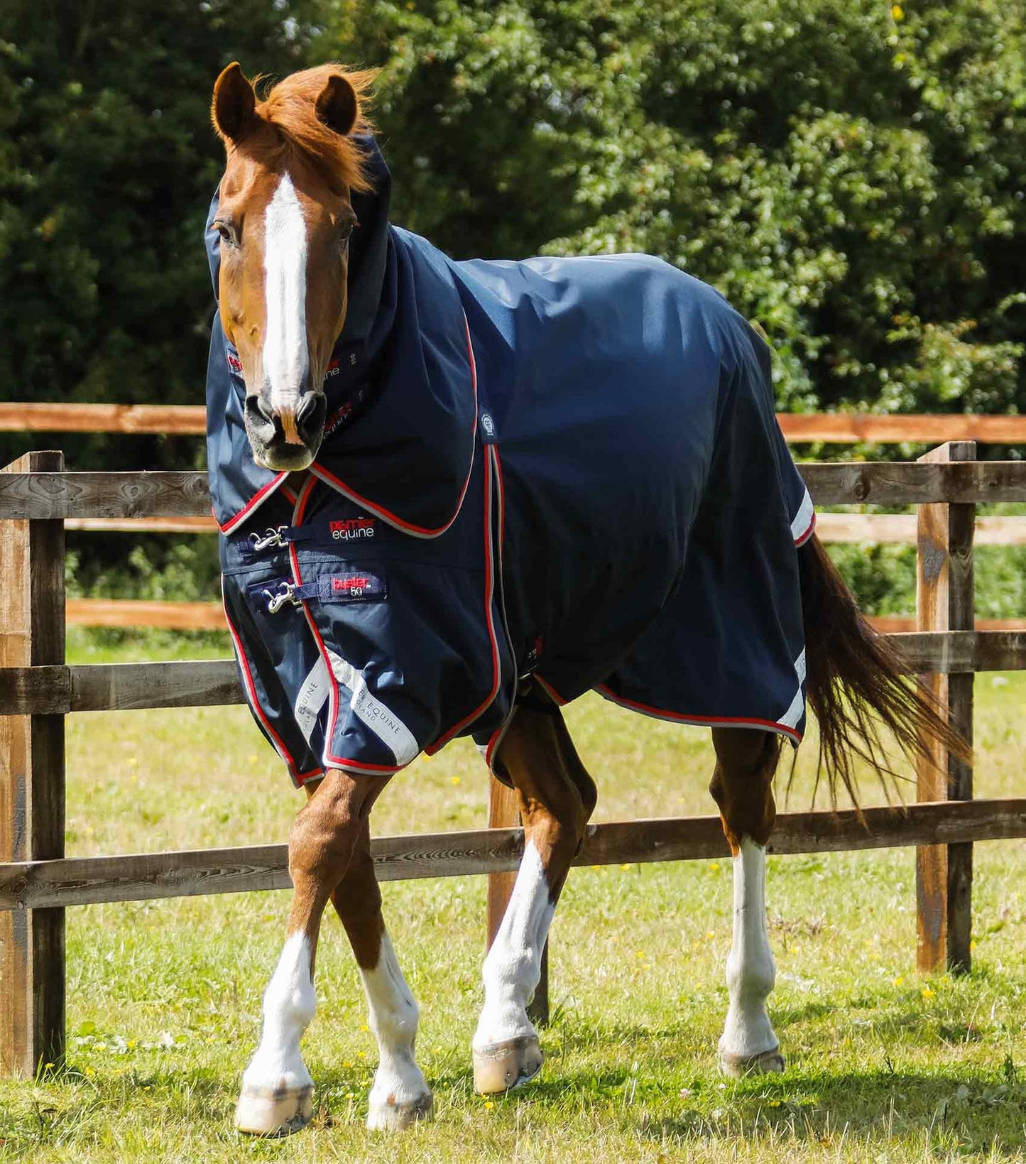 Couverture imperméable, Buster 50gr avec cou amovible - Premier Equine