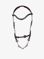 Bridle Helsinki - PS of Sweden