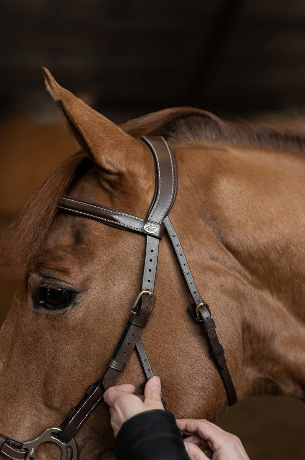 Bridon " Hackamore", brun - HFI
