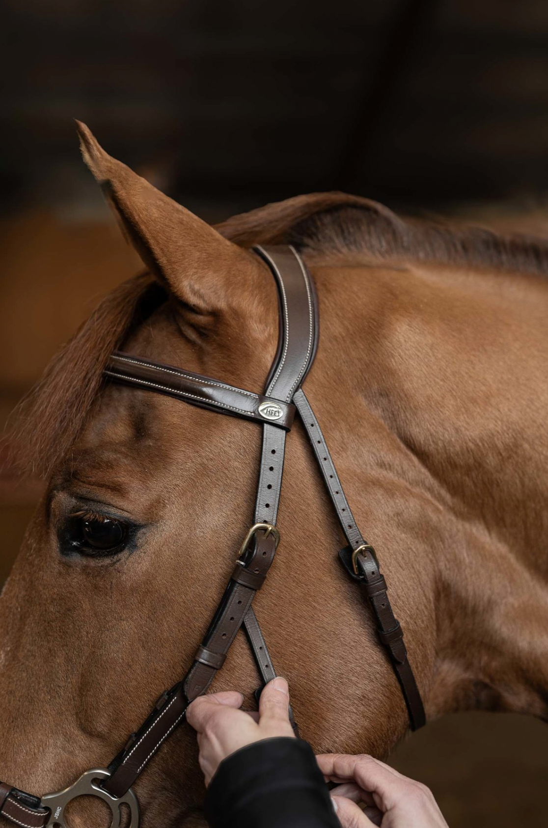 Bridon " Hackamore", brun - HFI