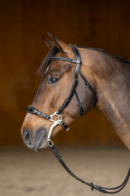 Bridon " Hackamore", brun - HFI