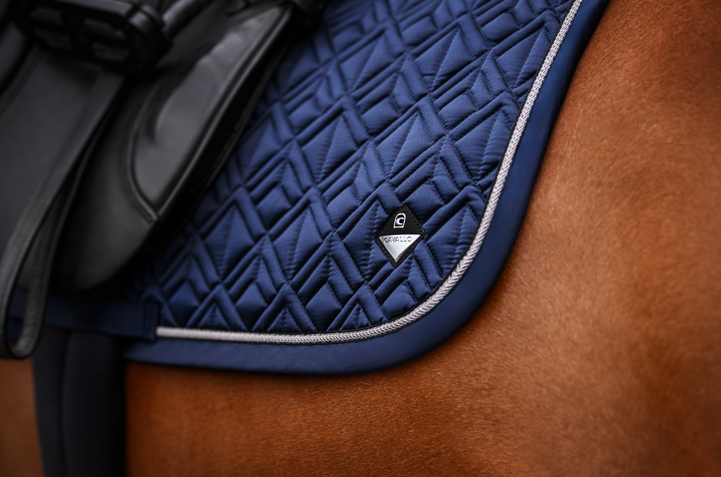 Tapis Cavaljorah, Darkblue - Cavallo Spring / Summer 25