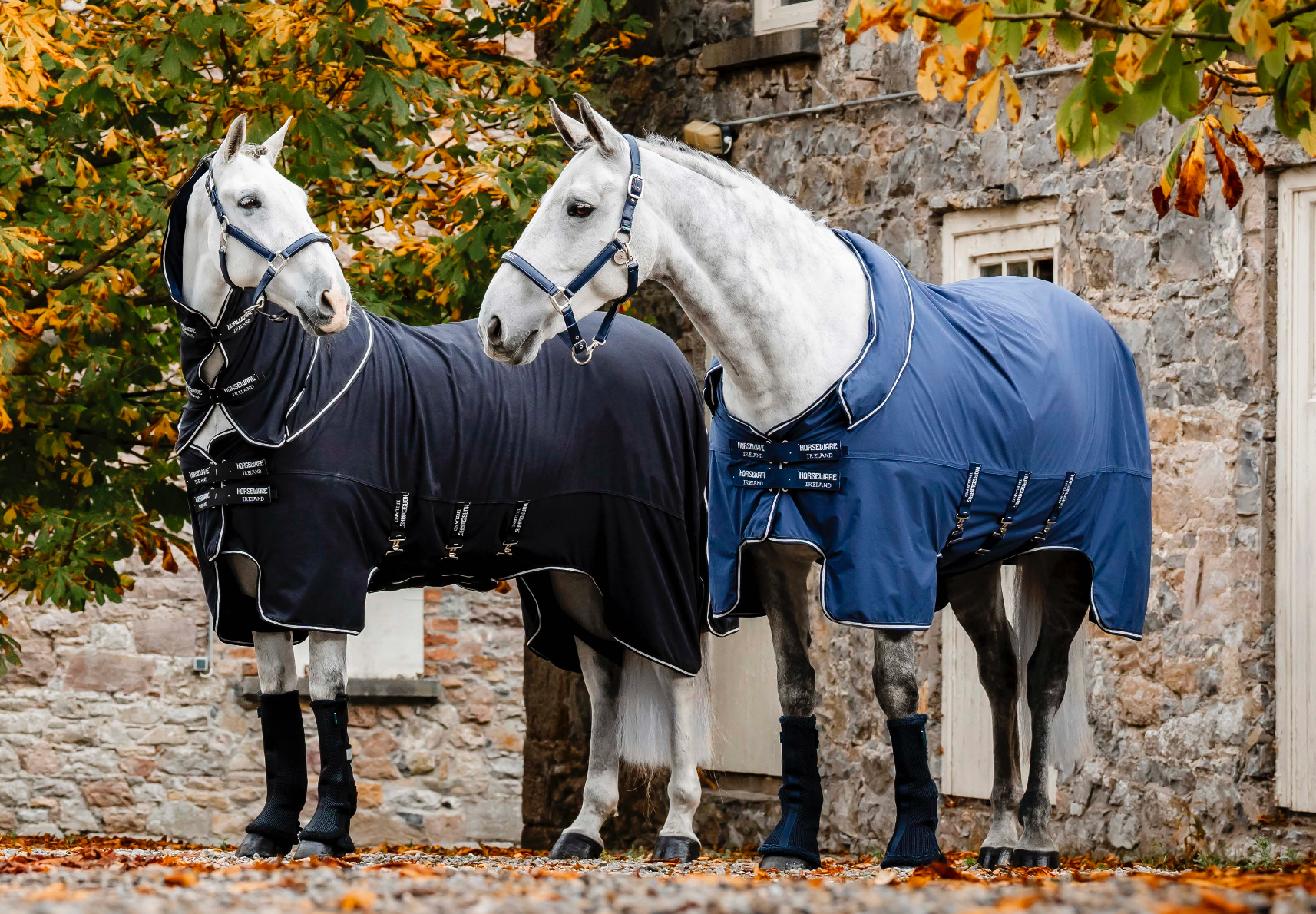 Chemise Show Ready rug, black - Horseware