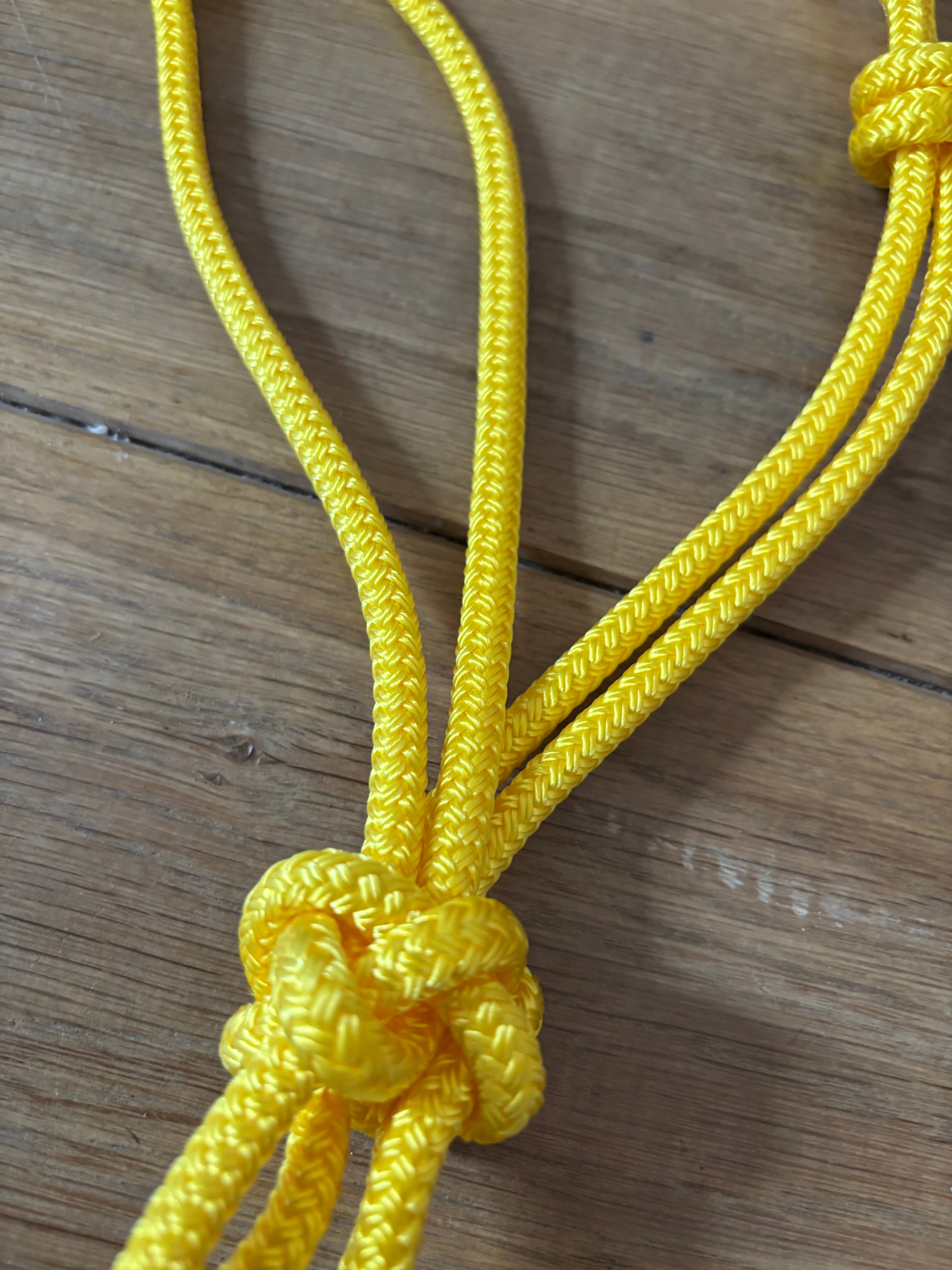 Licol Ethologique, Jaune - Brockamp