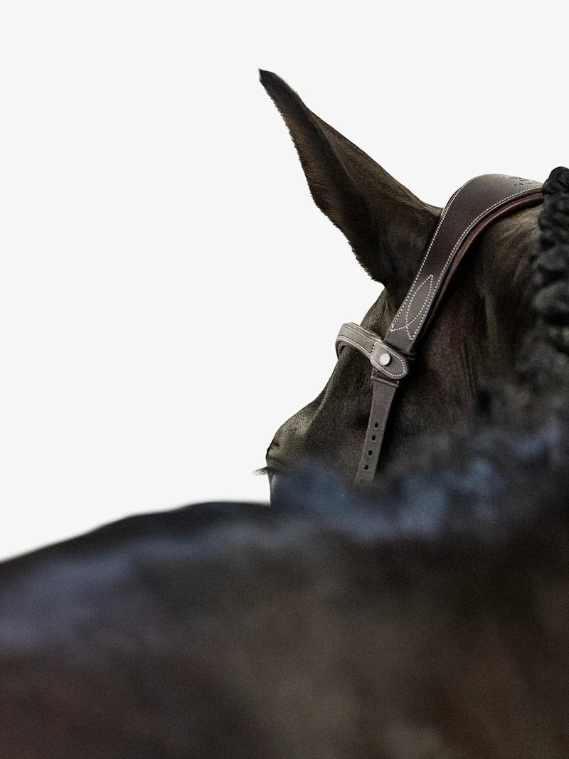 Bridle Helsinki - PS of Sweden