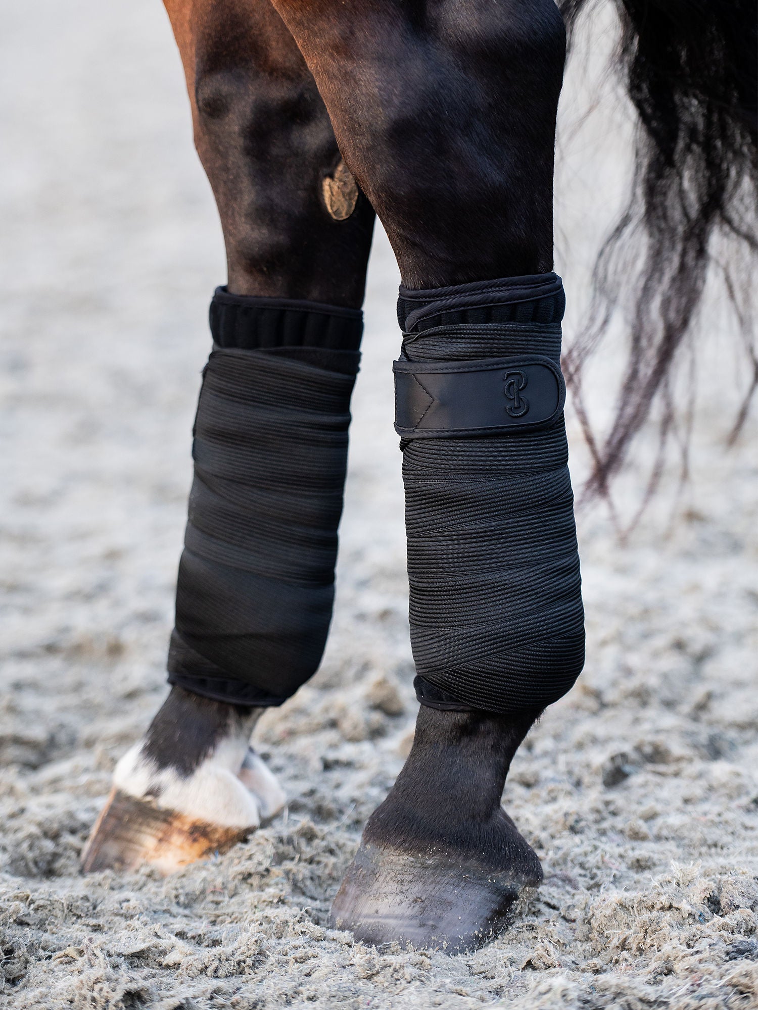 Bandes polos Elite elastic, Black - Ps of Sweden