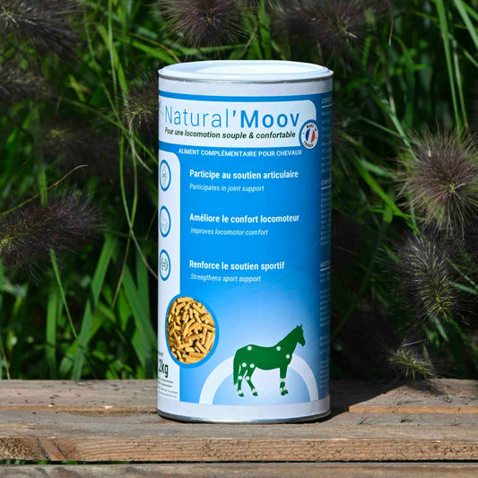 Natural'Moov, Locomotion cheval, 1,2kg - Natural'Innov