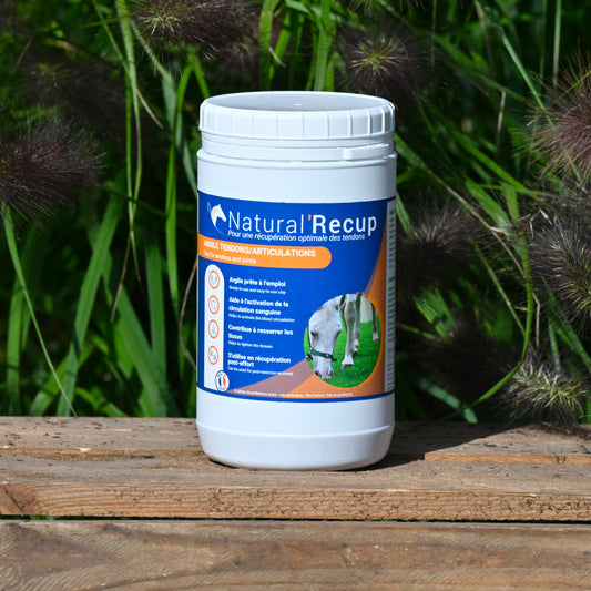 Natural'Recup, 1,3kg - Natural'Innov