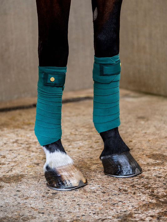 Bandes de polo Signature, Jade - Ps of Sweden FW 23