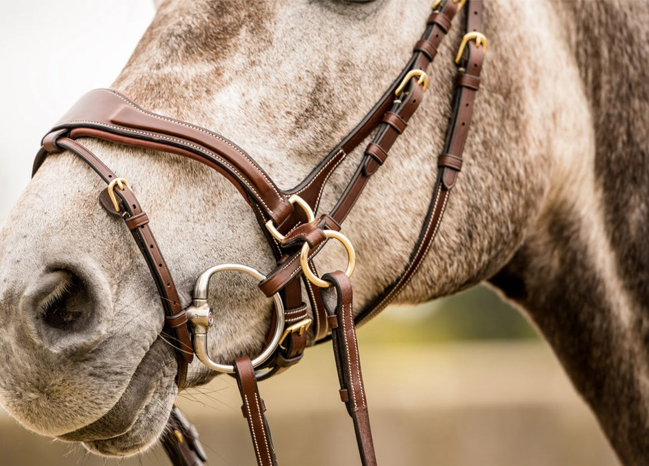 Bridon Falsterbo T-motion - Trust Equestrian