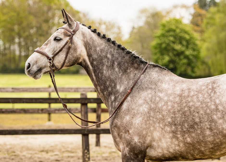 Bridon Falsterbo T-motion - Trust Equestrian