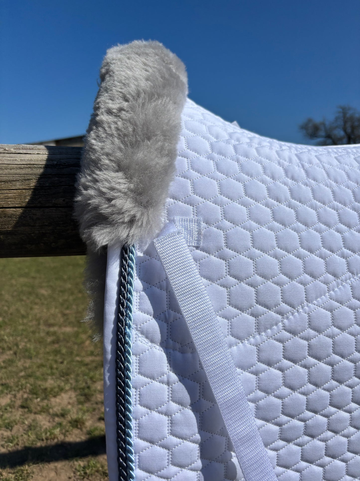 Tapis de dressage blanc, mouton gris, bord titan / bleu glacé - Mattes