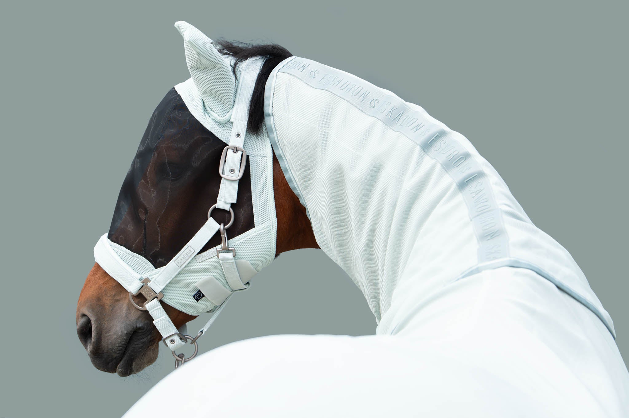 Masque Dynairmesh, powder green - Eskadron Classic Sport