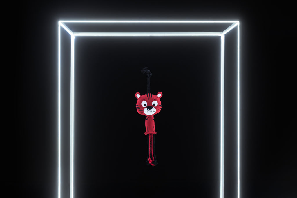 Jouet Tyger - Eskadron Dynamic 2025