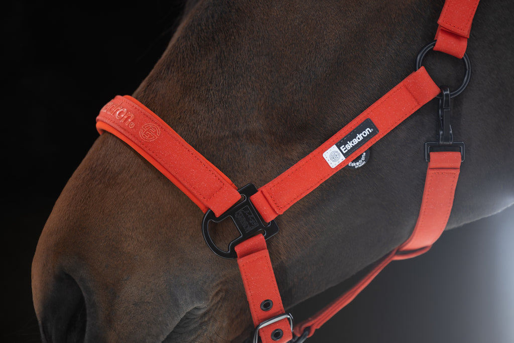 Licol Sparkle Double pin - Eskadron Dynamic 2025