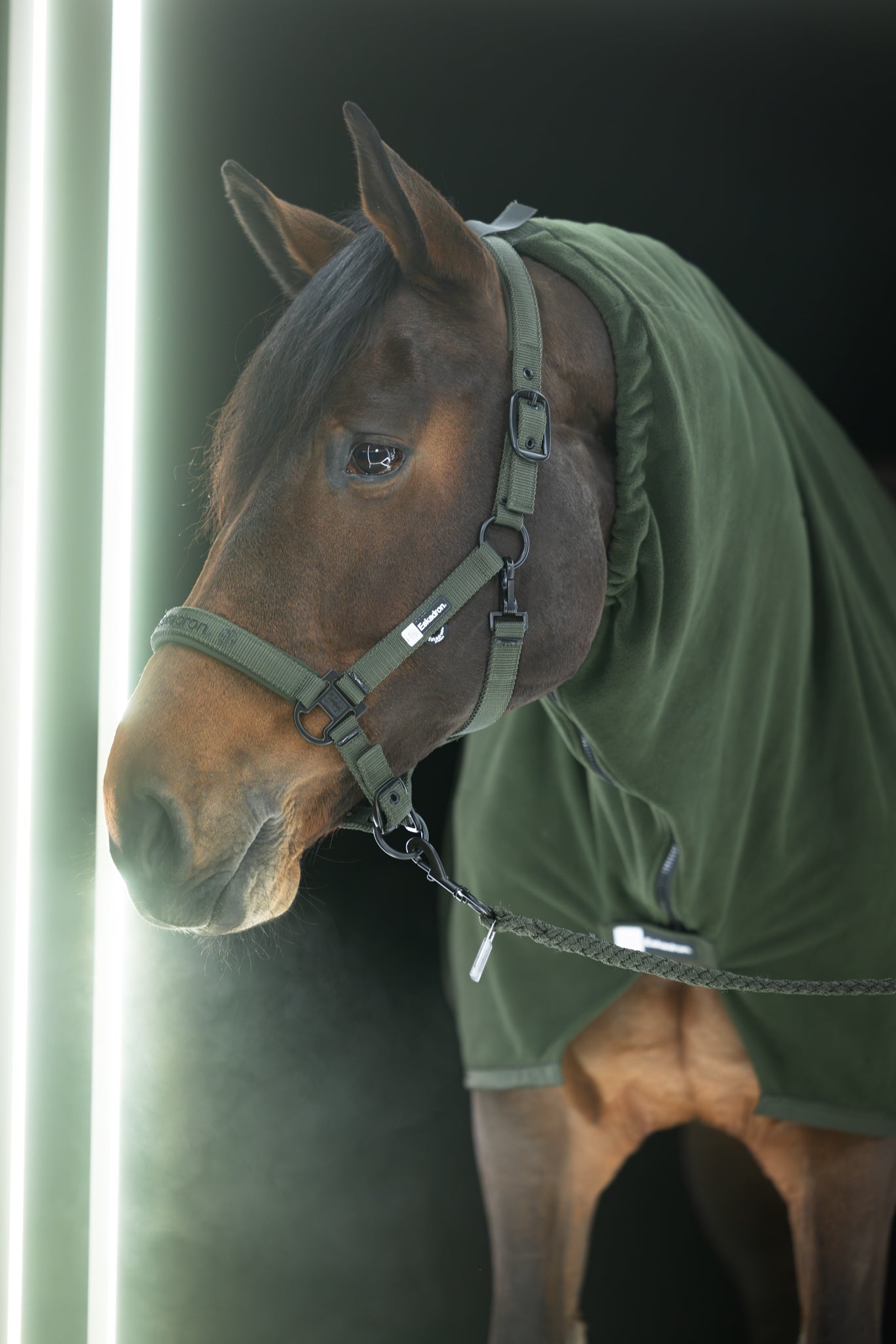 Licol Double pin - Eskadron Dynamic 2025