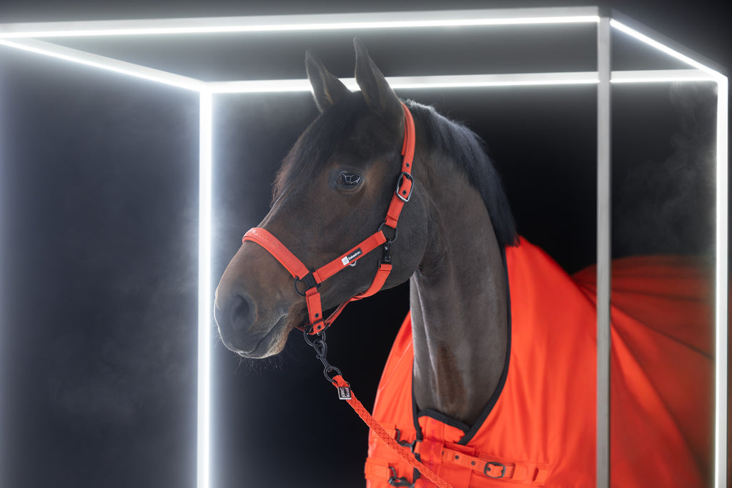 Licol Sparkle Double pin - Eskadron Dynamic 2025