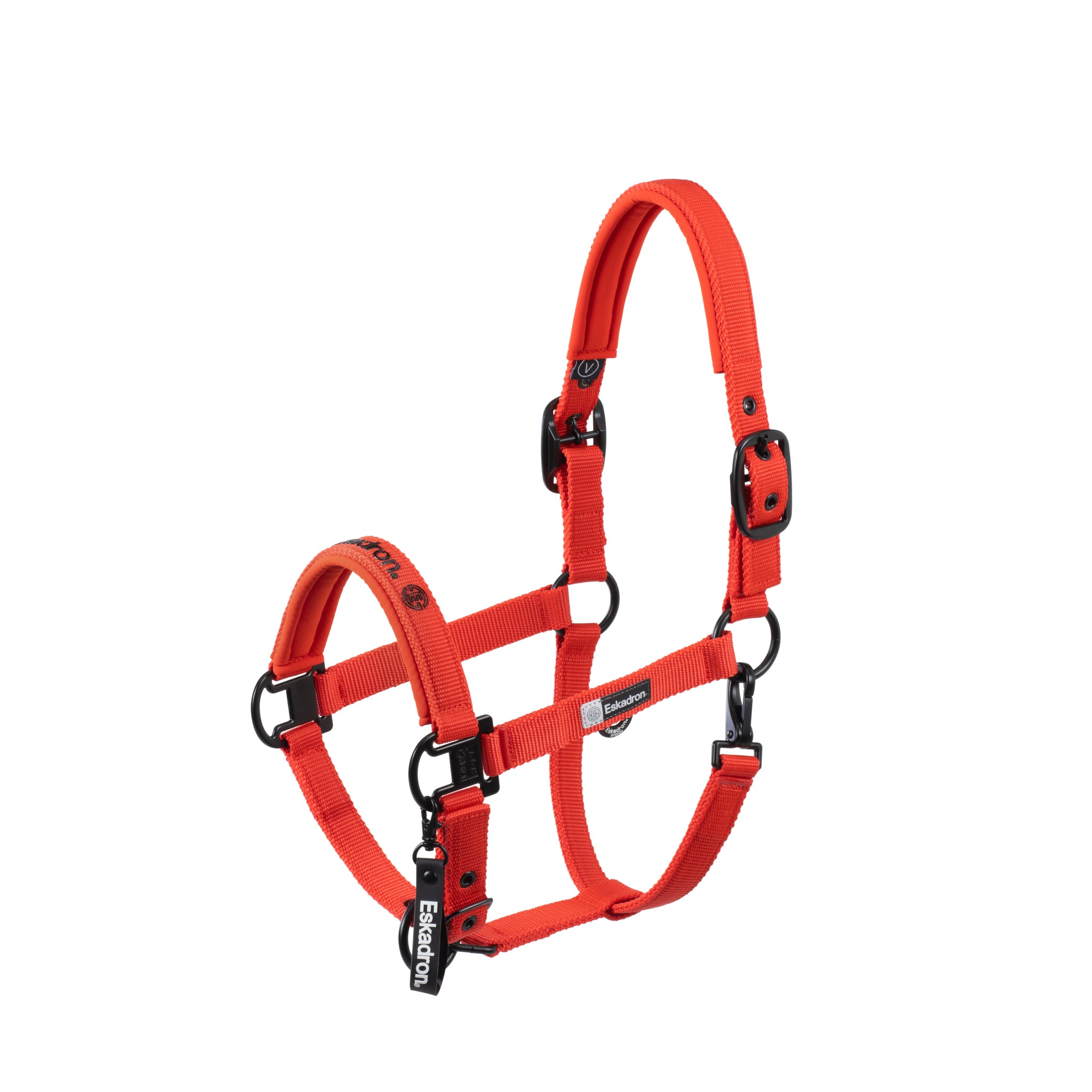 Licol Double pin - Eskadron Dynamic 2025