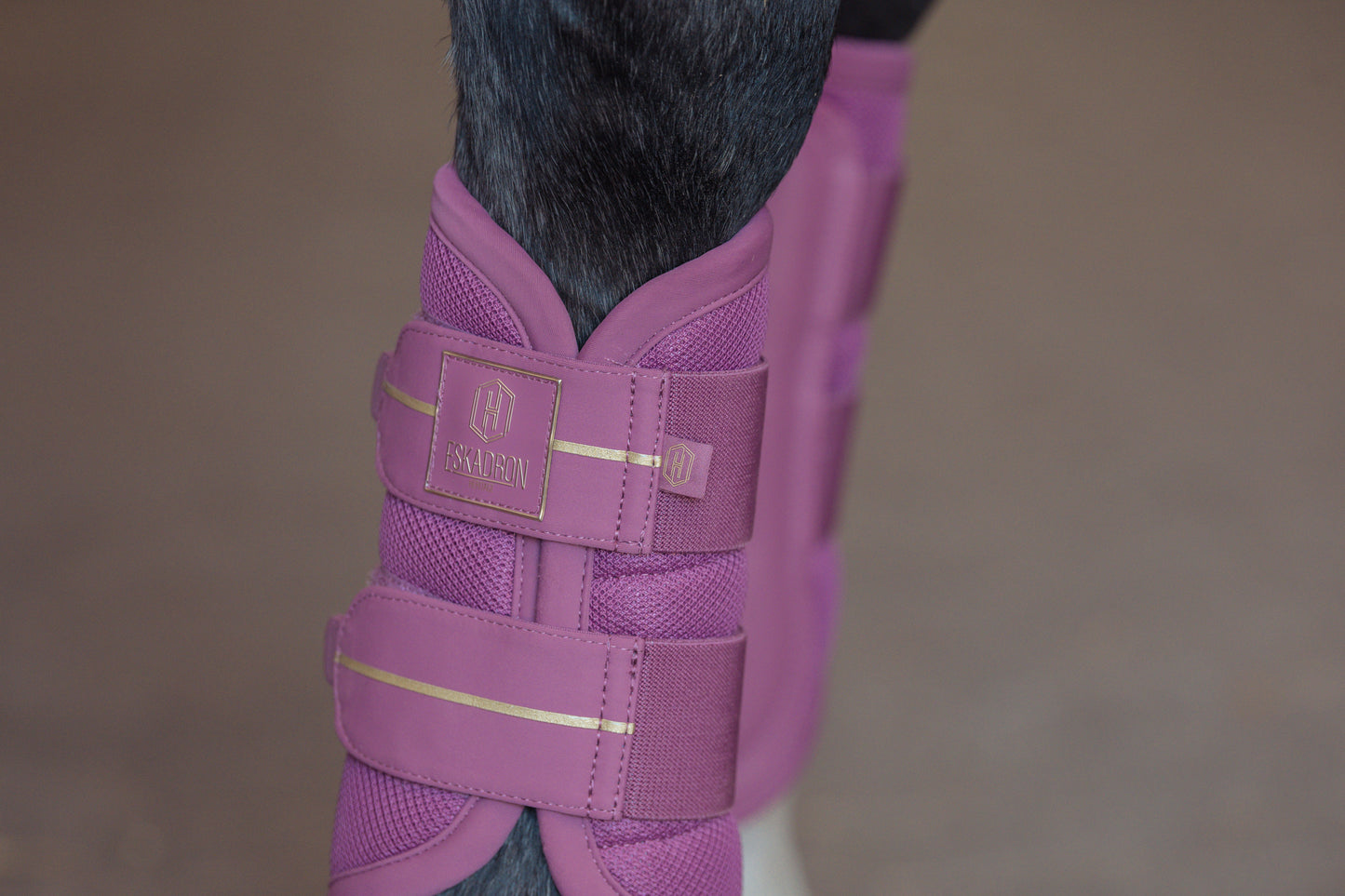 Guêtres Mesh - Eskadron Héritage 25/26