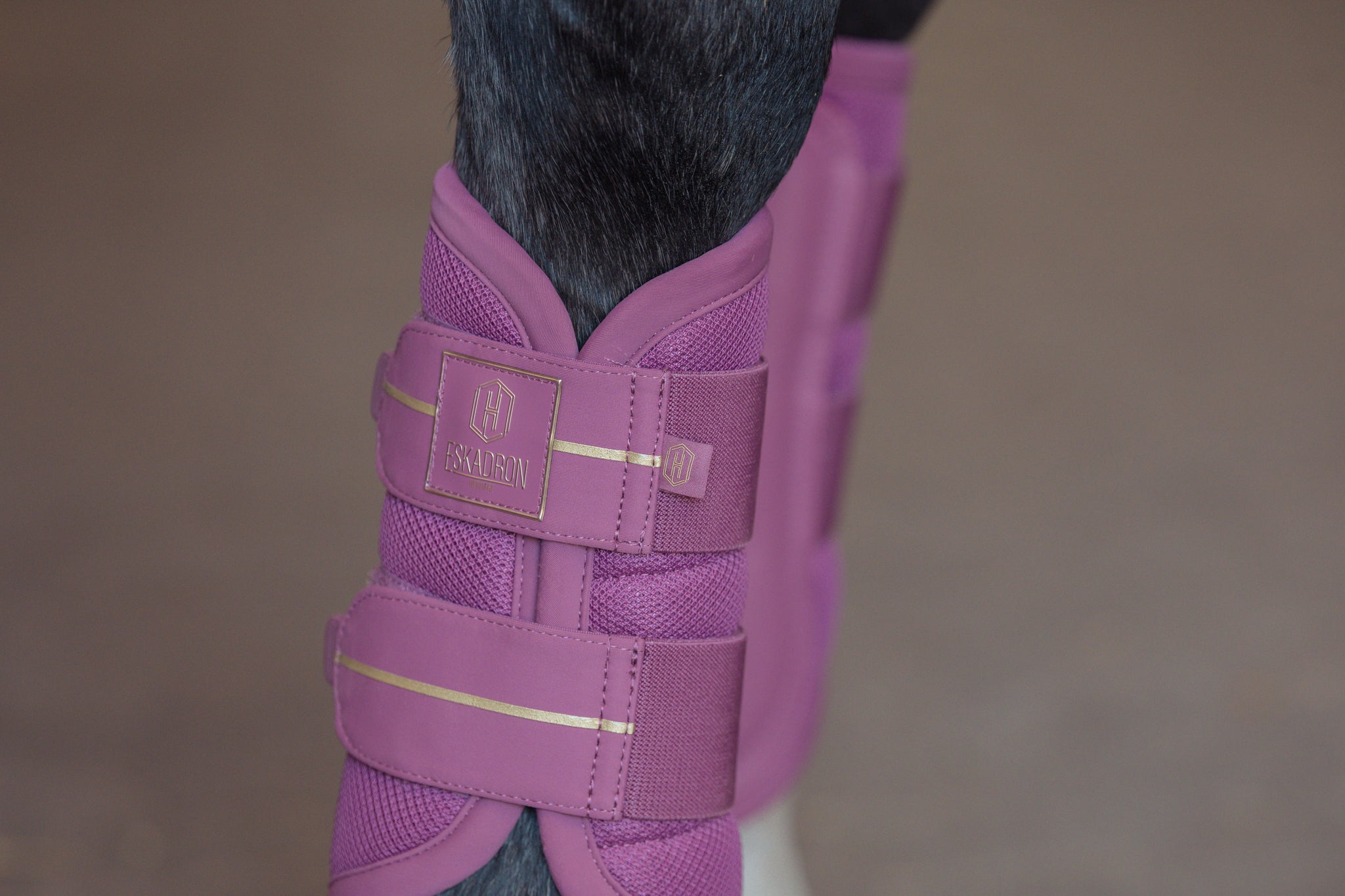 Guêtres Mesh - Eskadron Héritage 25/26