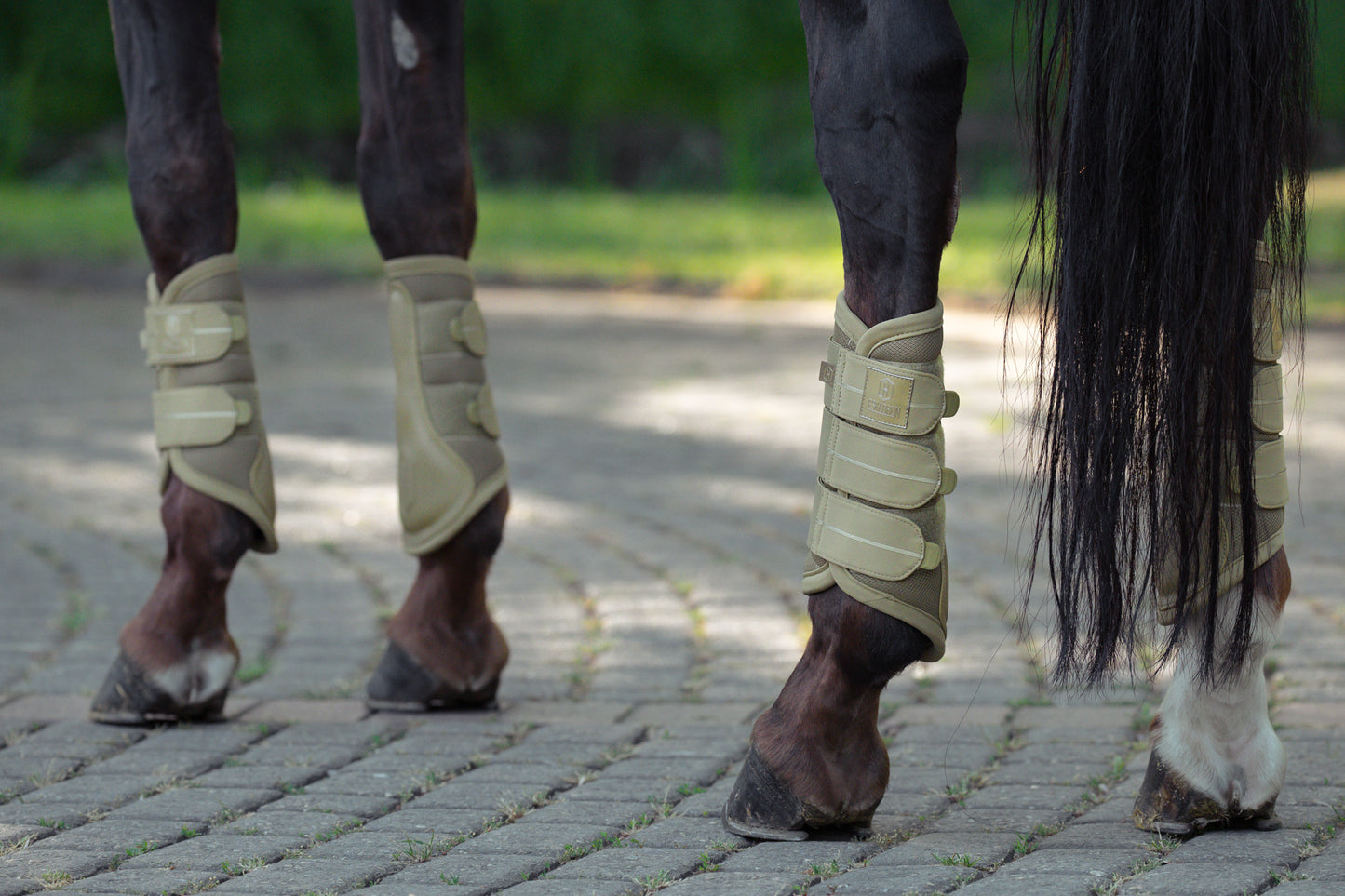 Guêtres Mesh - Eskadron Héritage 25/26