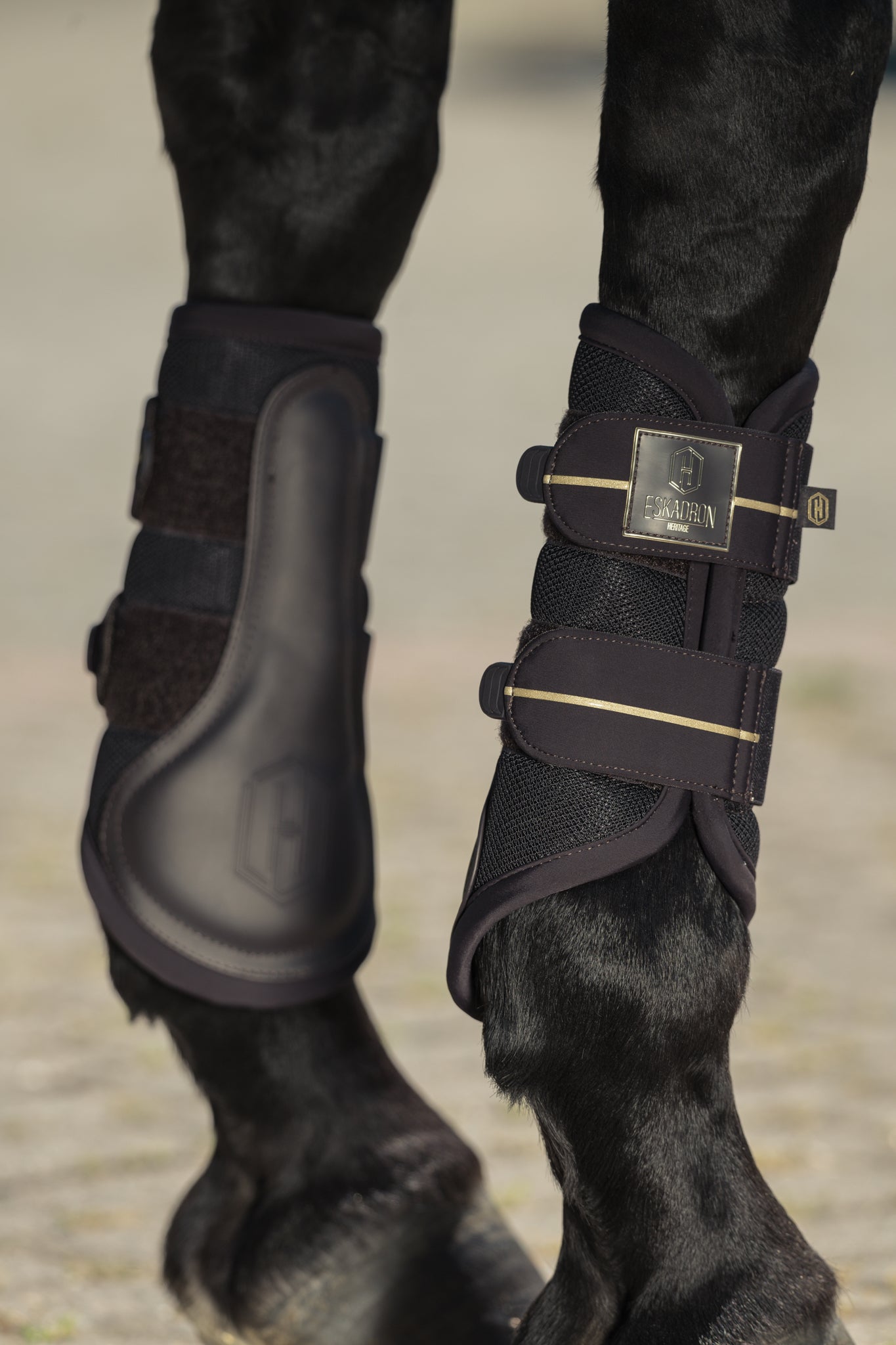 Guêtres Mesh - Eskadron Héritage 25/26