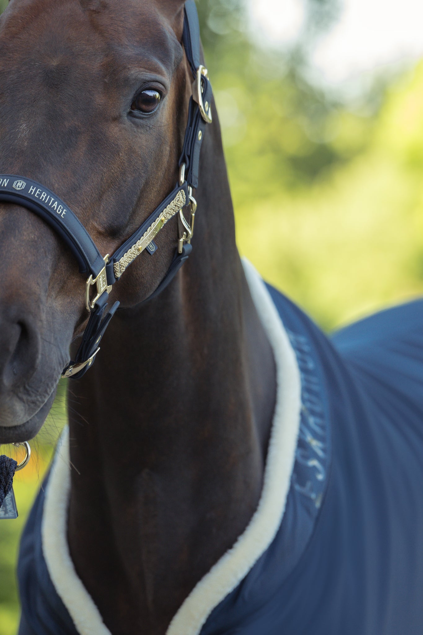 Licol Faux Leather Double pin - Eskadron Héritage 25/26