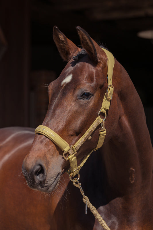 Licol Faux Leather Double pin - Eskadron Héritage 25/26