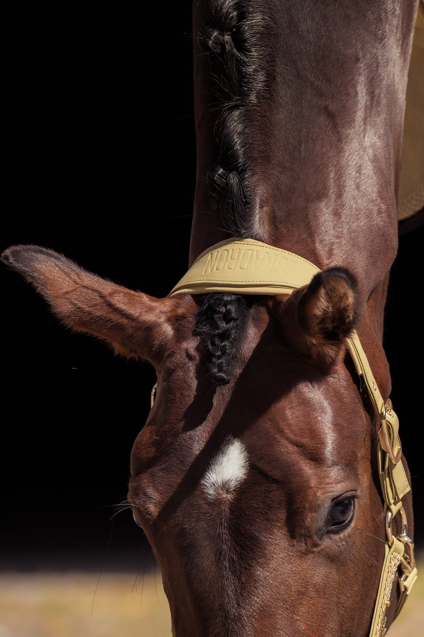 Licol Faux Leather Double pin - Eskadron Héritage 25/26