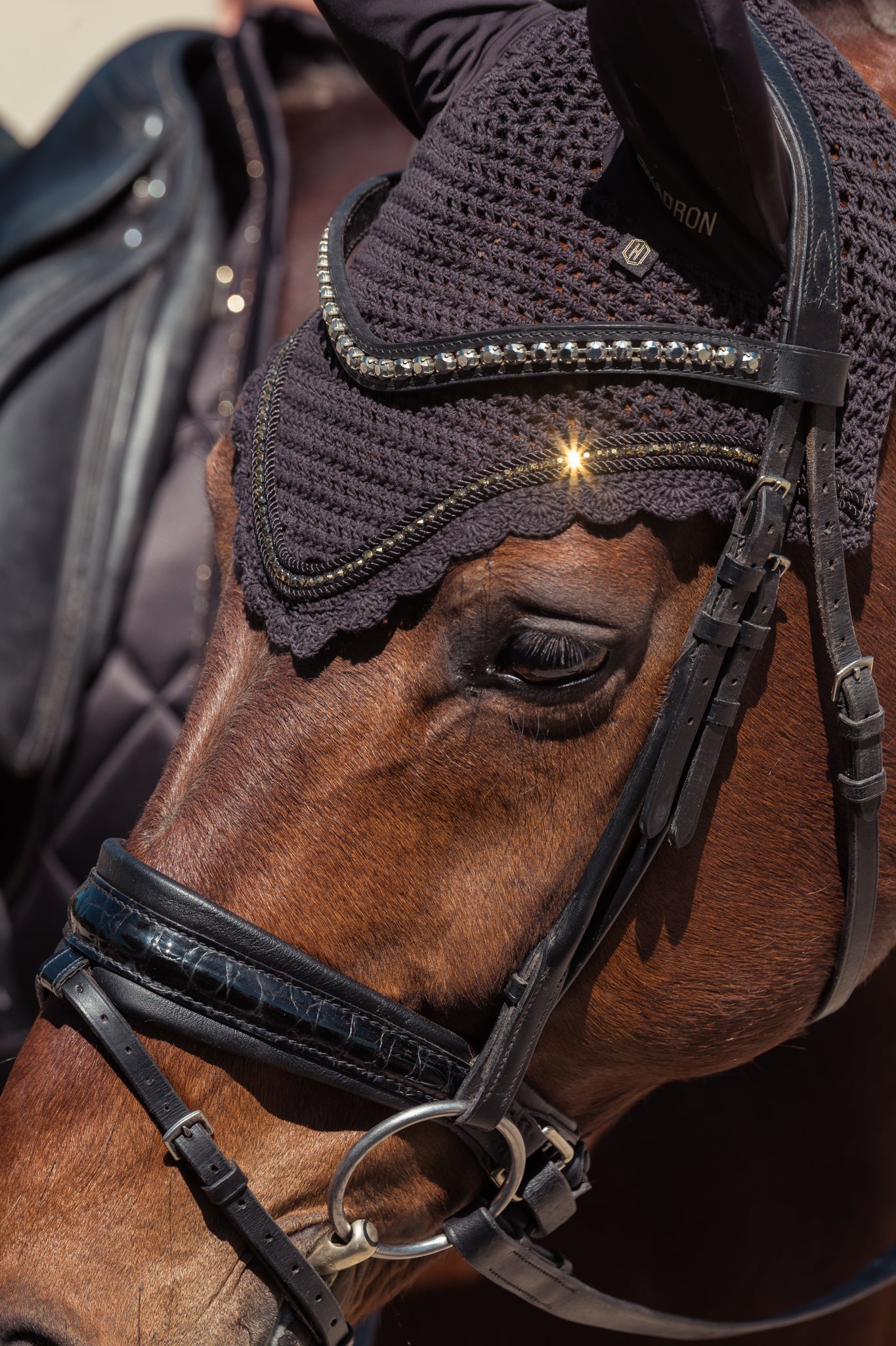 Bonnet Crystal - Eskadron Héritage 25/26