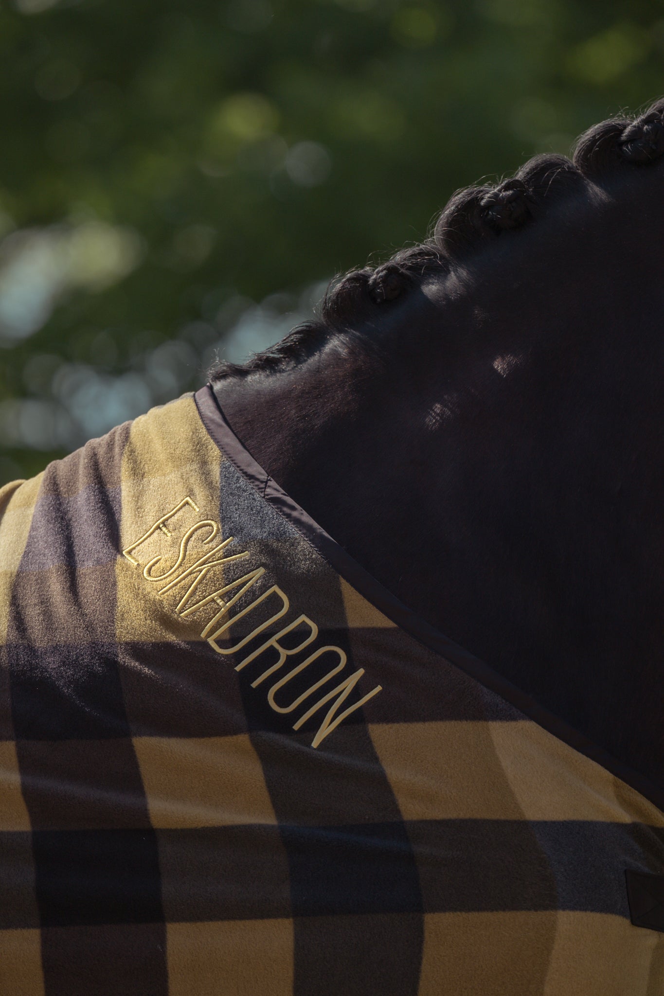 Sweat Rug Fleece Check - Eskadron Héritage 25/26