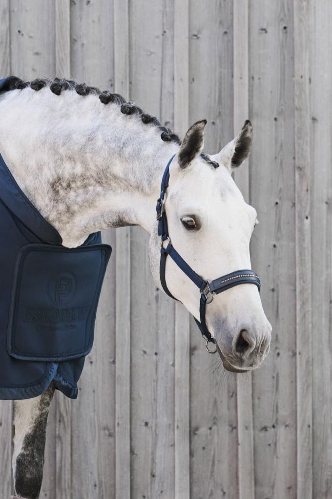 Licol Double Pin Glossy Crystal, atlantic blue - Eskadron Platinum