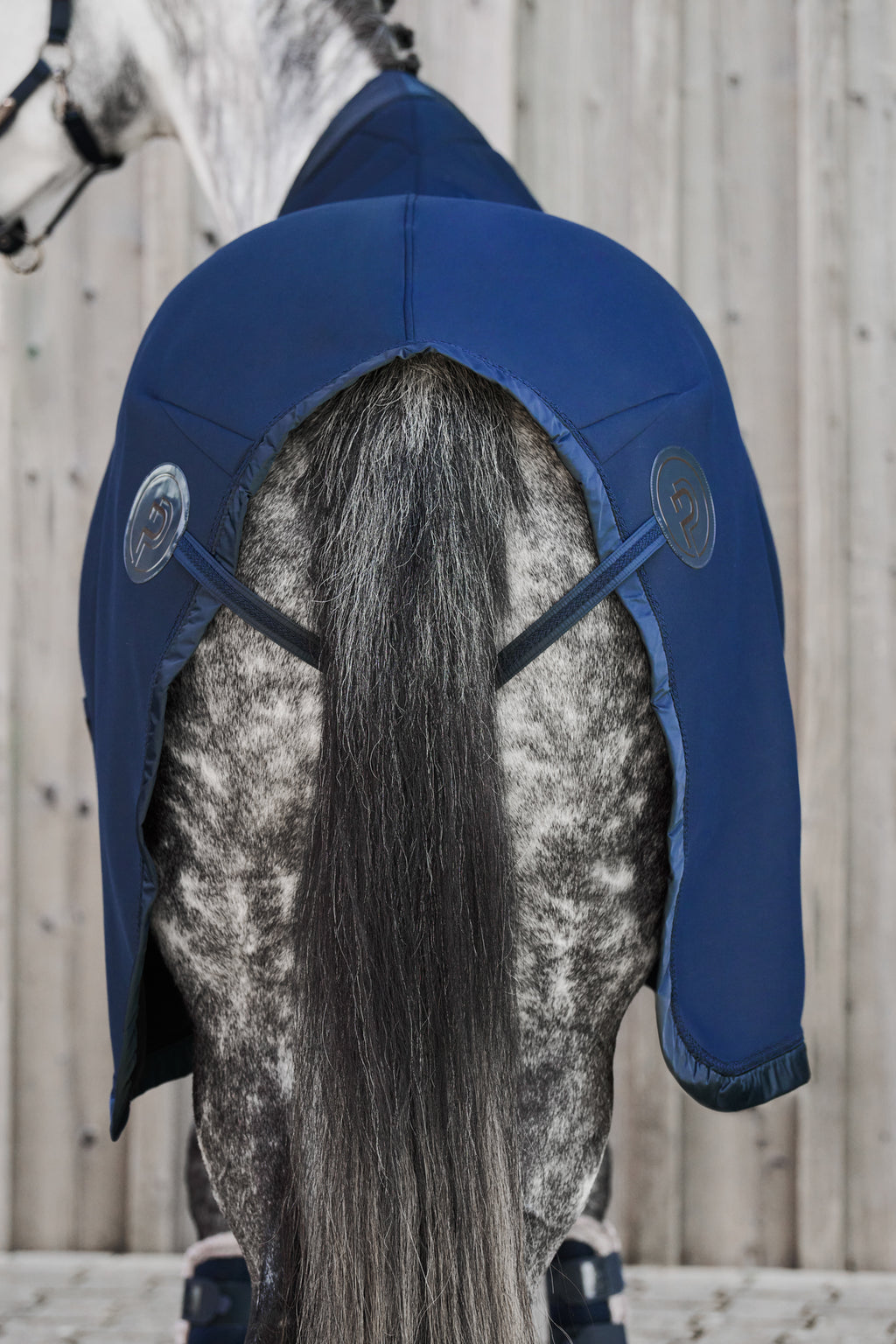 Sweet Rug Jersey Air, atlantic blue - Eskadron Platinum