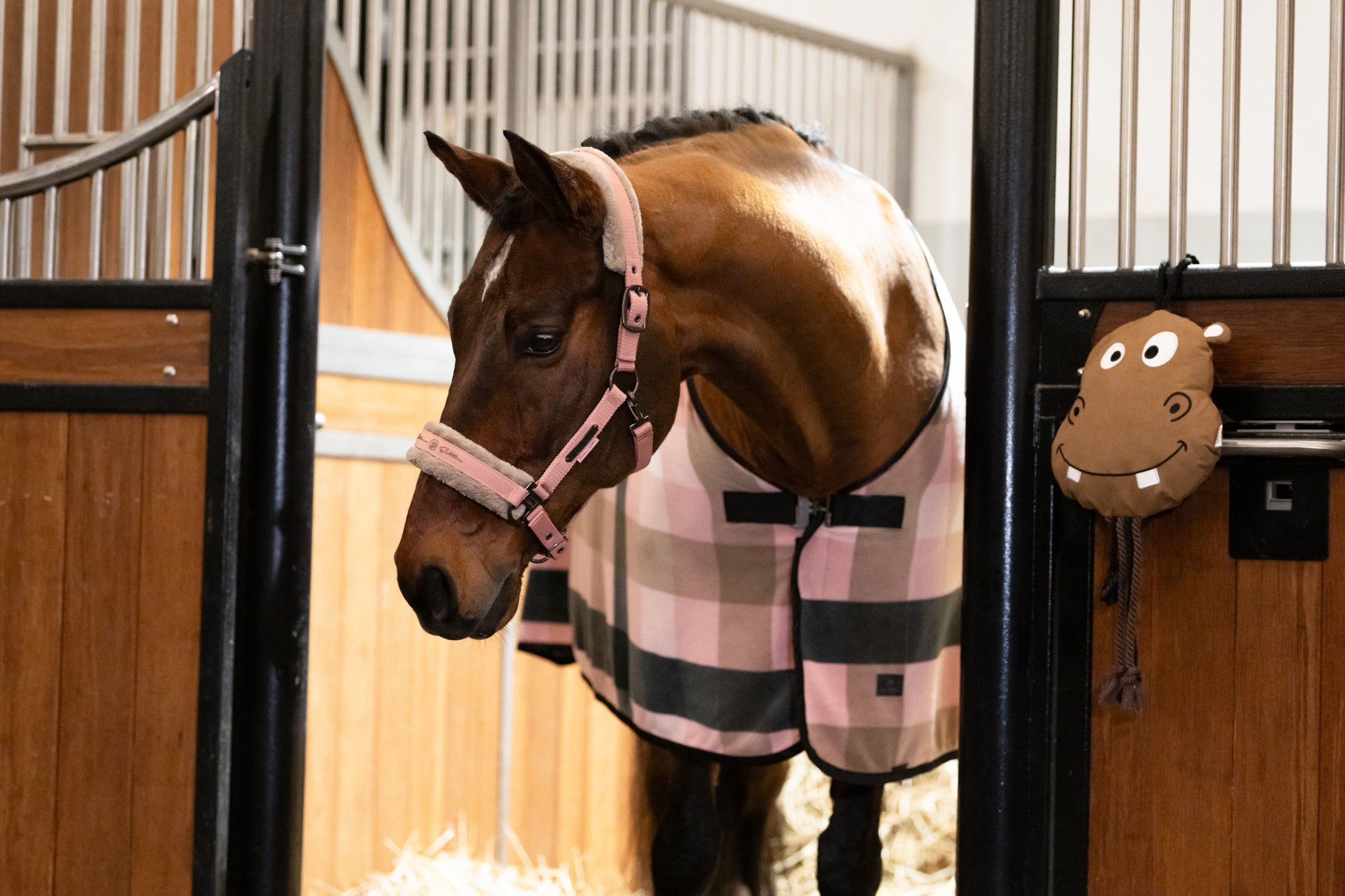 Chemise sweat rug Fleece check, rose-smoky taupe - Eskadron platinum 25