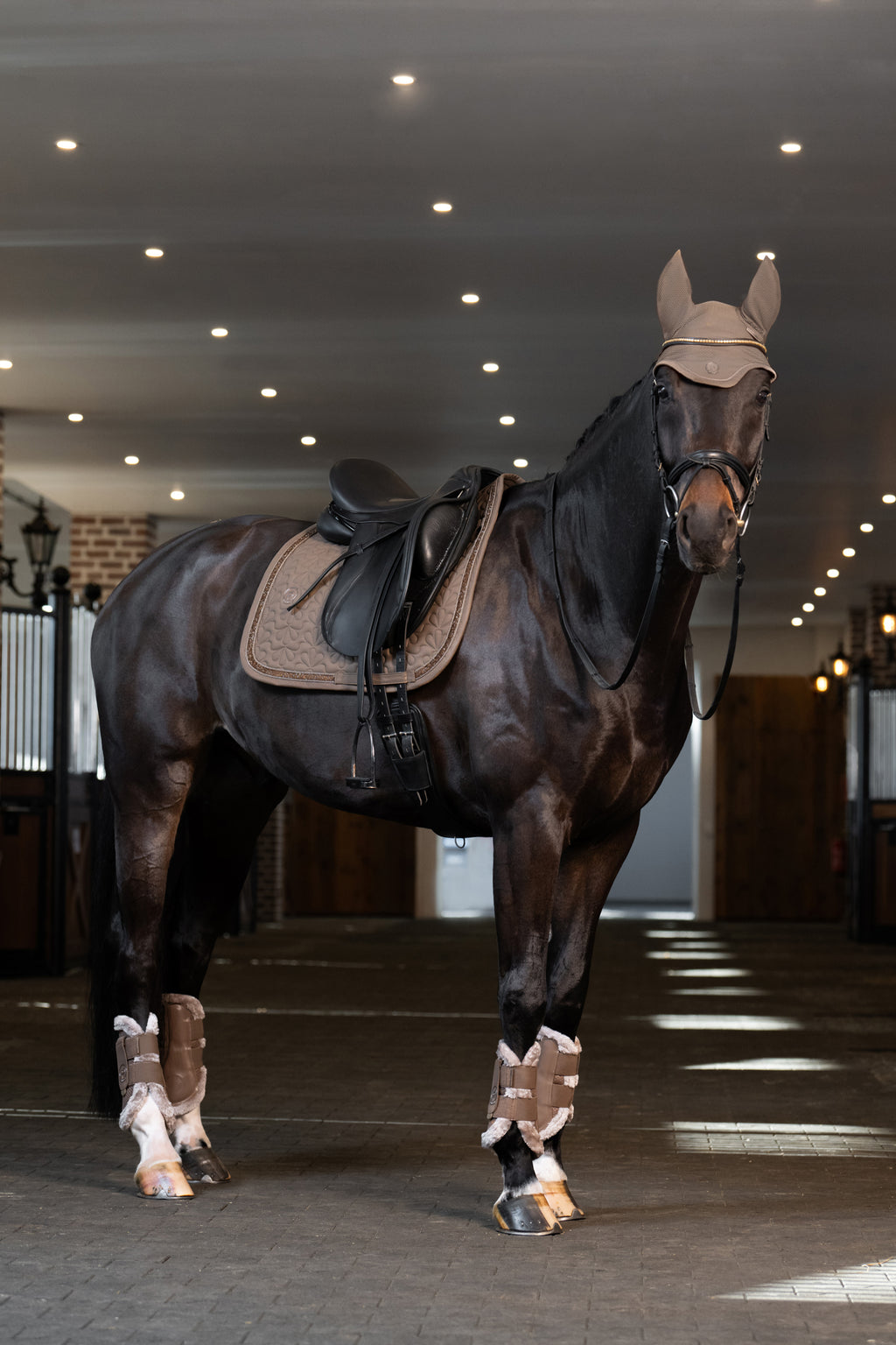 Tapis de selle Sparkle Jewel - Eskadron platinum 25