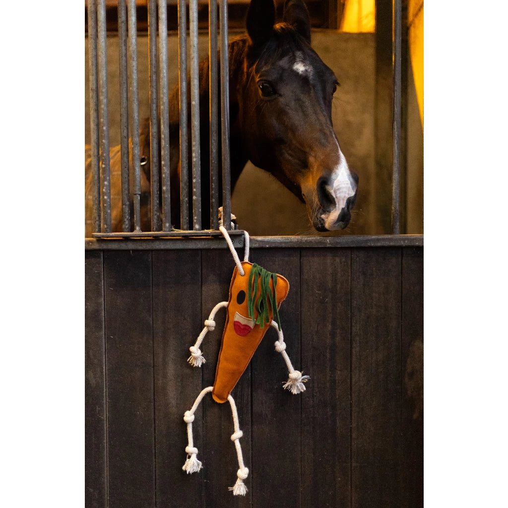 Jouet pour chevaux forme Carotte