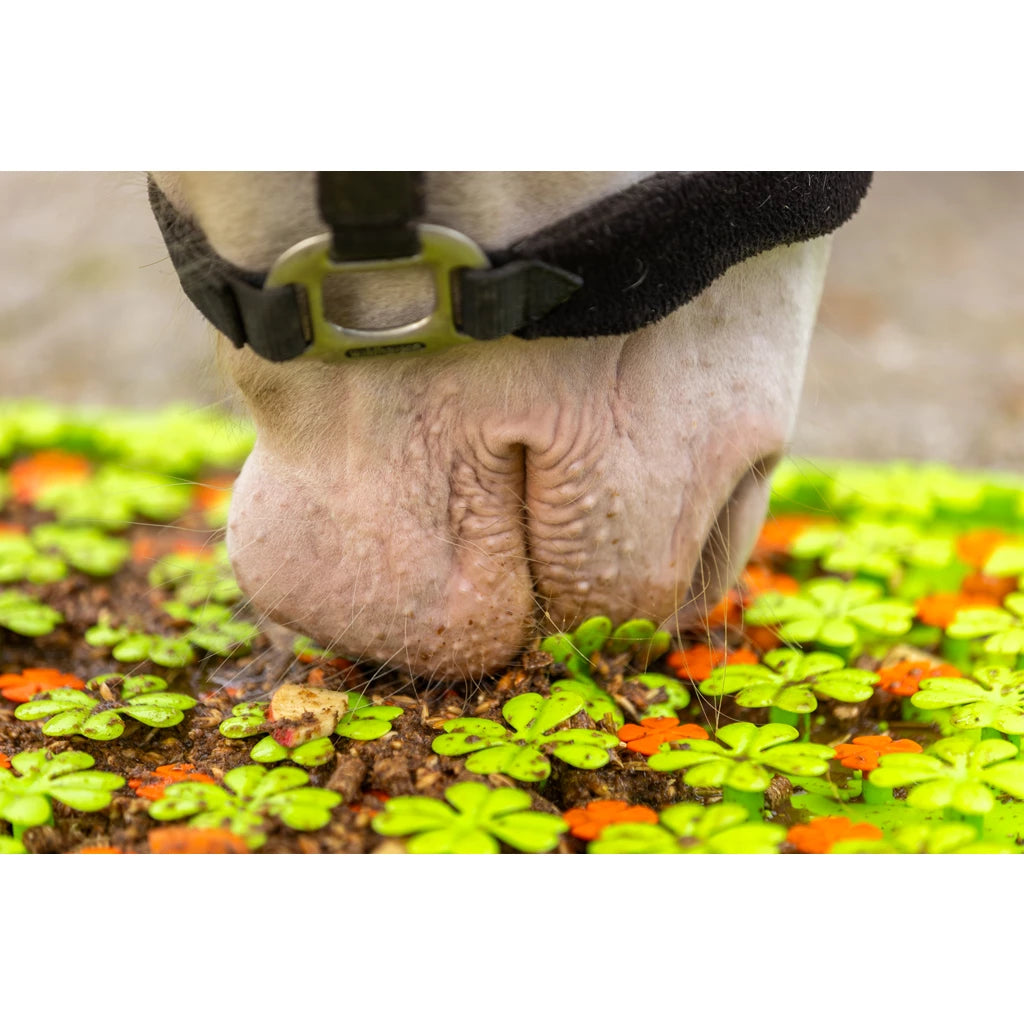 Tapis anti-glouton chevaux