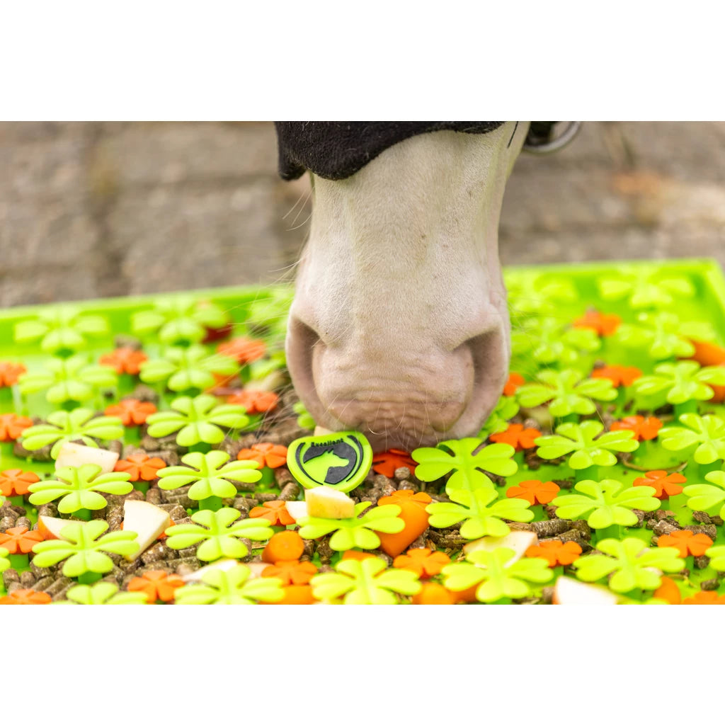 Tapis anti-glouton chevaux