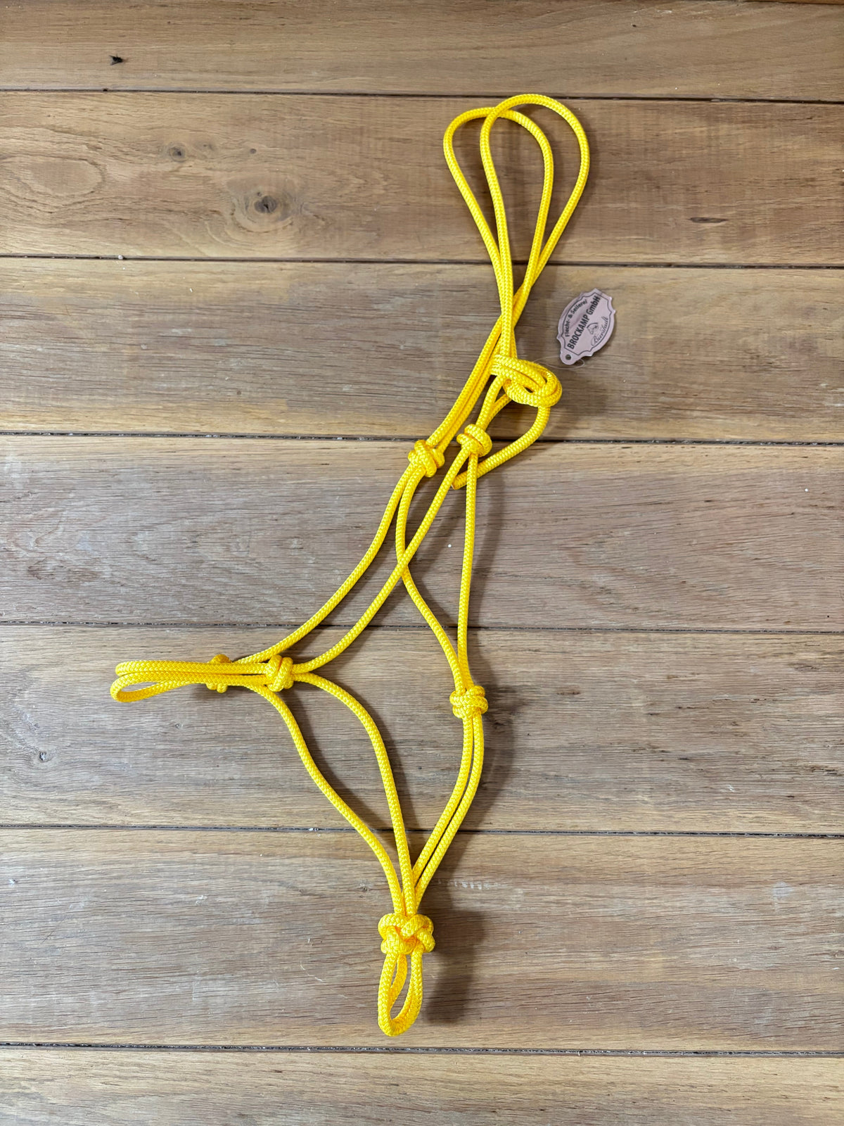 Brockamp licol éthologique Jaune